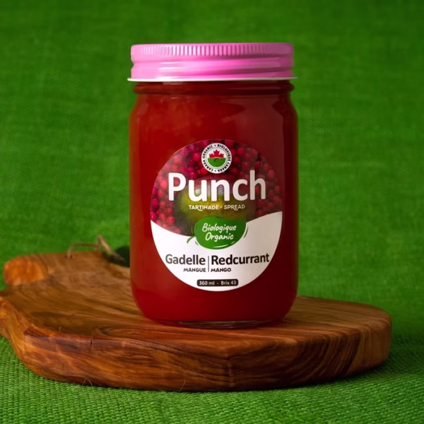 Pot de tartinade biologique Punch à la gadelle et à la mangue sur une planche de bois